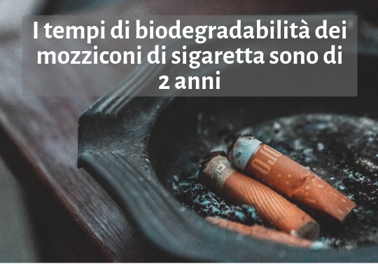 Biodegradabilita mozziconi di sigaretta.jpg